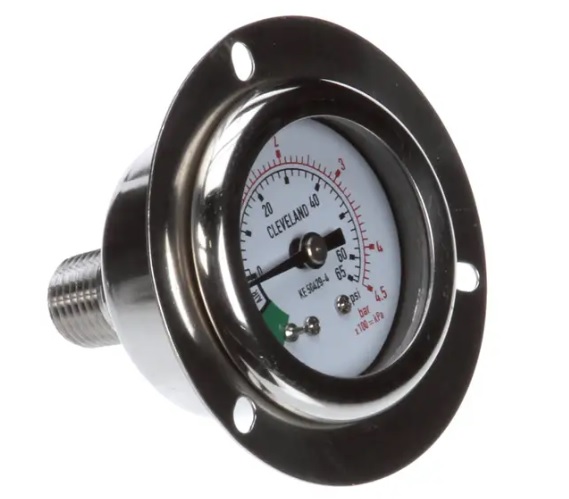 Pressure Gauge, Back Mount, 0-65 PSI